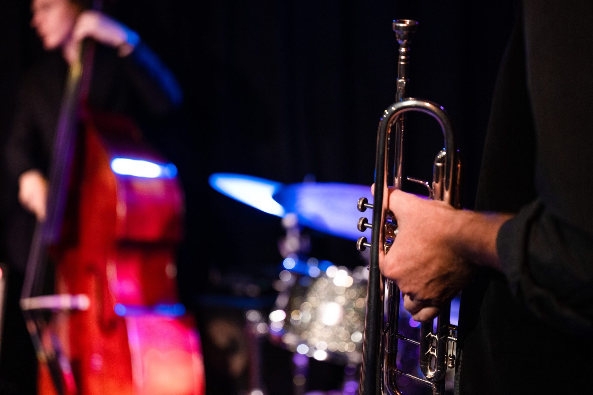 person holds trumpet